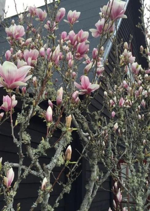 Laengtan Marielund Villa Uppsala Bagian luar foto